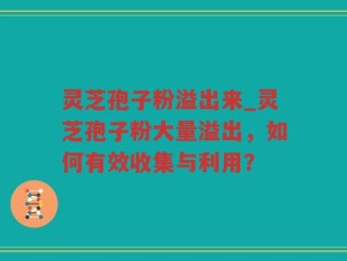 灵芝孢子粉溢出来_灵芝孢子粉大量溢出，如何有效收集与利用？