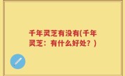 千年灵芝有没有(千年灵芝：有什么好处？)