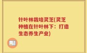 针叶林栽培灵芝(灵芝种植在针叶林下：打造生态养生产业)