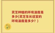 灵芝种植的环境温度是多少(灵芝生长适宜的环境温度是多少？)