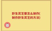 野生灵芝要怎么制作(制作野生灵芝的方法)