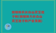 微娅助农长白山灵芝孢子粉(微娅助力长白山灵芝孢子粉产业发展)