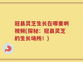 冠县灵芝生长在哪里啊视频(探秘：冠县灵芝的生长场所！)