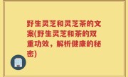 野生灵芝和灵芝茶的文案(野生灵芝和茶的双重功效，解析健康的秘密)