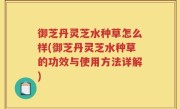 御芝丹灵芝水种草怎么样(御芝丹灵芝水种草的功效与使用方法详解)