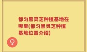 都匀黑灵芝种植基地在哪里(都匀黑灵芝种植基地位置介绍)