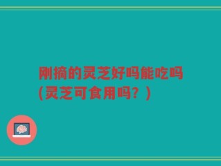 刚摘的灵芝好吗能吃吗(灵芝可食用吗？)