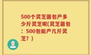 500个灵芝菌包产多少斤灵芝呢(灵芝菌包：500包能产几斤灵芝？)