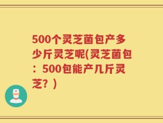 500个灵芝菌包产多少斤灵芝呢(灵芝菌包：500包能产几斤灵芝？)