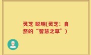 灵芝 聪明(灵芝：自然的“智慧之草”)