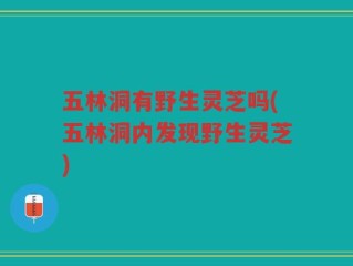 五林洞有野生灵芝吗(五林洞内发现野生灵芝)
