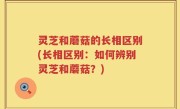 灵芝和蘑菇的长相区别(长相区别：如何辨别灵芝和蘑菇？)