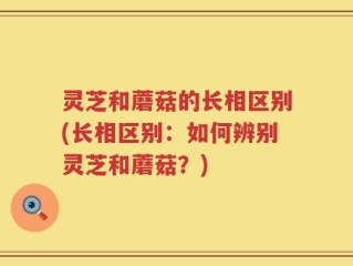 灵芝和蘑菇的长相区别(长相区别：如何辨别灵芝和蘑菇？)