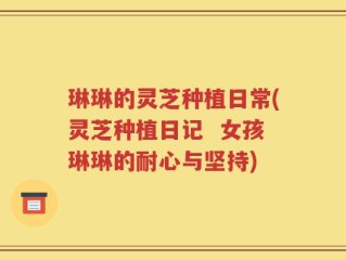 琳琳的灵芝种植日常(灵芝种植日记  女孩琳琳的耐心与坚持)