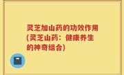 灵芝加山药的功效作用(灵芝山药：健康养生的神奇组合)