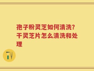 孢子粉灵芝如何清洗？干灵芝片怎么清洗和处理