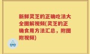 新鲜灵芝的正确吃法大全图解视频(灵芝的正确食用方法汇总，附图附视频)