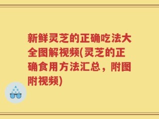新鲜灵芝的正确吃法大全图解视频(灵芝的正确食用方法汇总，附图附视频)
