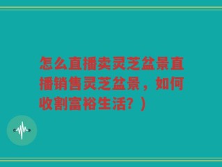 怎么直播卖灵芝盆景直播销售灵芝盆景，如何收割富裕生活？)