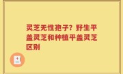 灵芝无性孢子？野生平盖灵芝和种植平盖灵芝区别