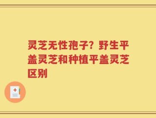 灵芝无性孢子？野生平盖灵芝和种植平盖灵芝区别