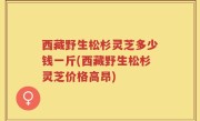 西藏野生松杉灵芝多少钱一斤(西藏野生松杉灵芝价格高昂)