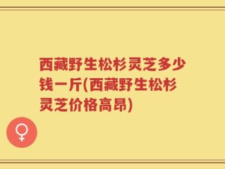 西藏野生松杉灵芝多少钱一斤(西藏野生松杉灵芝价格高昂)