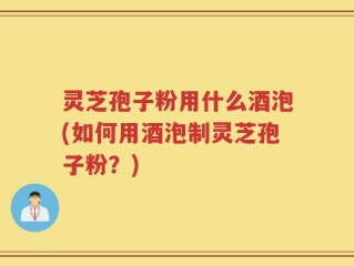 灵芝孢子粉用什么酒泡(如何用酒泡制灵芝孢子粉？)