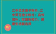 江中灵芝孢子粉片_江中灵芝孢子粉片：高效滋补，增强免疫力，健康生活新选择