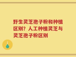 野生灵芝孢子粉和种植区别？人工种植灵芝与灵芝孢子粉区别
