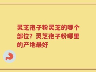 灵芝孢子粉灵芝的哪个部位？灵芝孢子粉哪里的产地最好