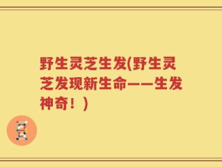 野生灵芝生发(野生灵芝发现新生命——生发神奇！)