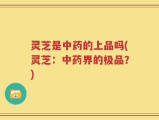 灵芝是中药的上品吗(灵芝：中药界的极品？)