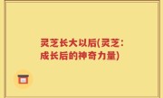 灵芝长大以后(灵芝：成长后的神奇力量)