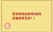 灵芝呀泡水好吗(如何正确泡灵芝水？)