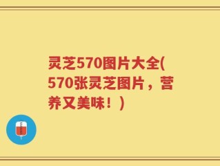 灵芝570图片大全(570张灵芝图片，营养又美味！)