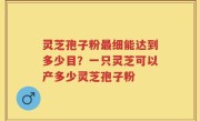 灵芝孢子粉最细能达到多少目？一只灵芝可以产多少灵芝孢子粉