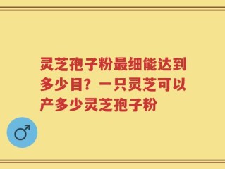 灵芝孢子粉最细能达到多少目？一只灵芝可以产多少灵芝孢子粉