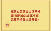 双鸭山灵芝尖山区采摘园(双鸭山尖山区丰富灵芝采摘园火热开启)