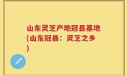 山东灵芝产地冠县基地(山东冠县：灵芝之乡)