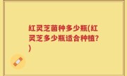 红灵芝菌种多少瓶(红灵芝多少瓶适合种植？)