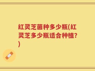红灵芝菌种多少瓶(红灵芝多少瓶适合种植？)