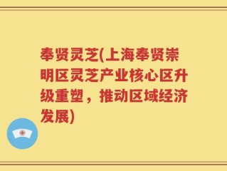 奉贤灵芝(上海奉贤崇明区灵芝产业核心区升级重塑，推动区域经济发展)