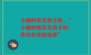 小棚种灵芝孢子粉_“小棚种植灵芝孢子粉：高效农业新选择”