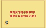 陕西灵芝孢子提取物？哪里可以买到灵芝孢子