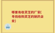 哪里有收灵芝的厂家(寻找收购灵芝的制药企业)