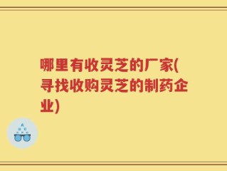 哪里有收灵芝的厂家(寻找收购灵芝的制药企业)