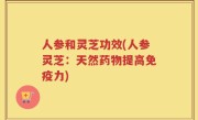 人参和灵芝功效(人参灵芝：天然药物提高免疫力)