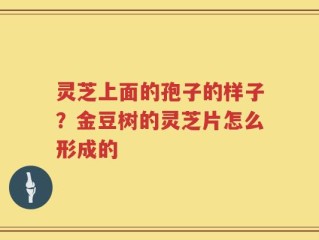 灵芝上面的孢子的样子？金豆树的灵芝片怎么形成的