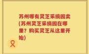 苏州哪有灵芝采摘园卖(苏州灵芝采摘园在哪里？购买灵芝从这里开始)